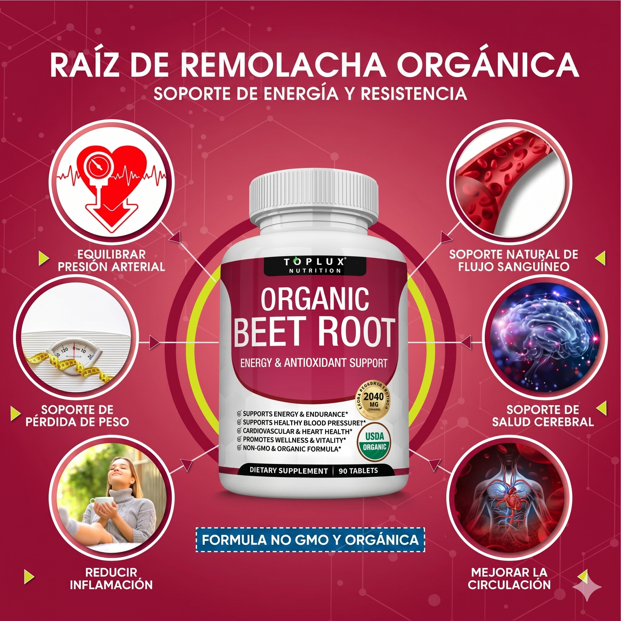Encabezado